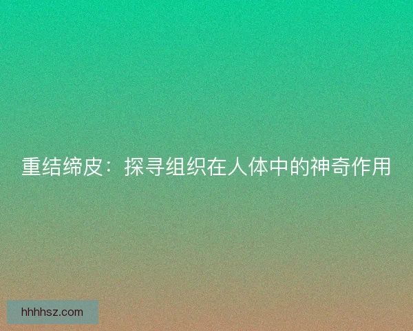 重结缔皮：探寻组织在人体中的神奇作用