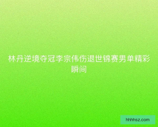 林丹逆境夺冠李宗伟伤退世锦赛男单精彩瞬间